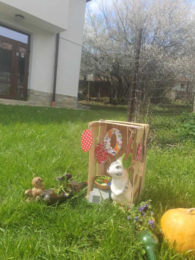 Бадевски Рай- Къща София Veliko Tărnovo Exterior foto